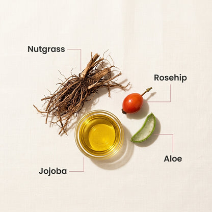 Bodylove - Cyperus Rotundus Oil