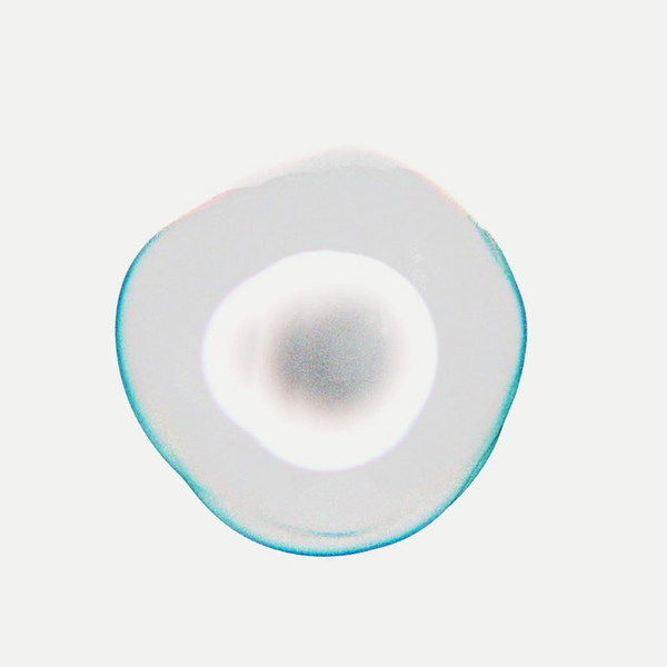 🛡️ Ceramide NP